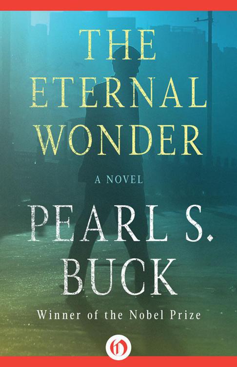The Eternal Wonder: A Novel