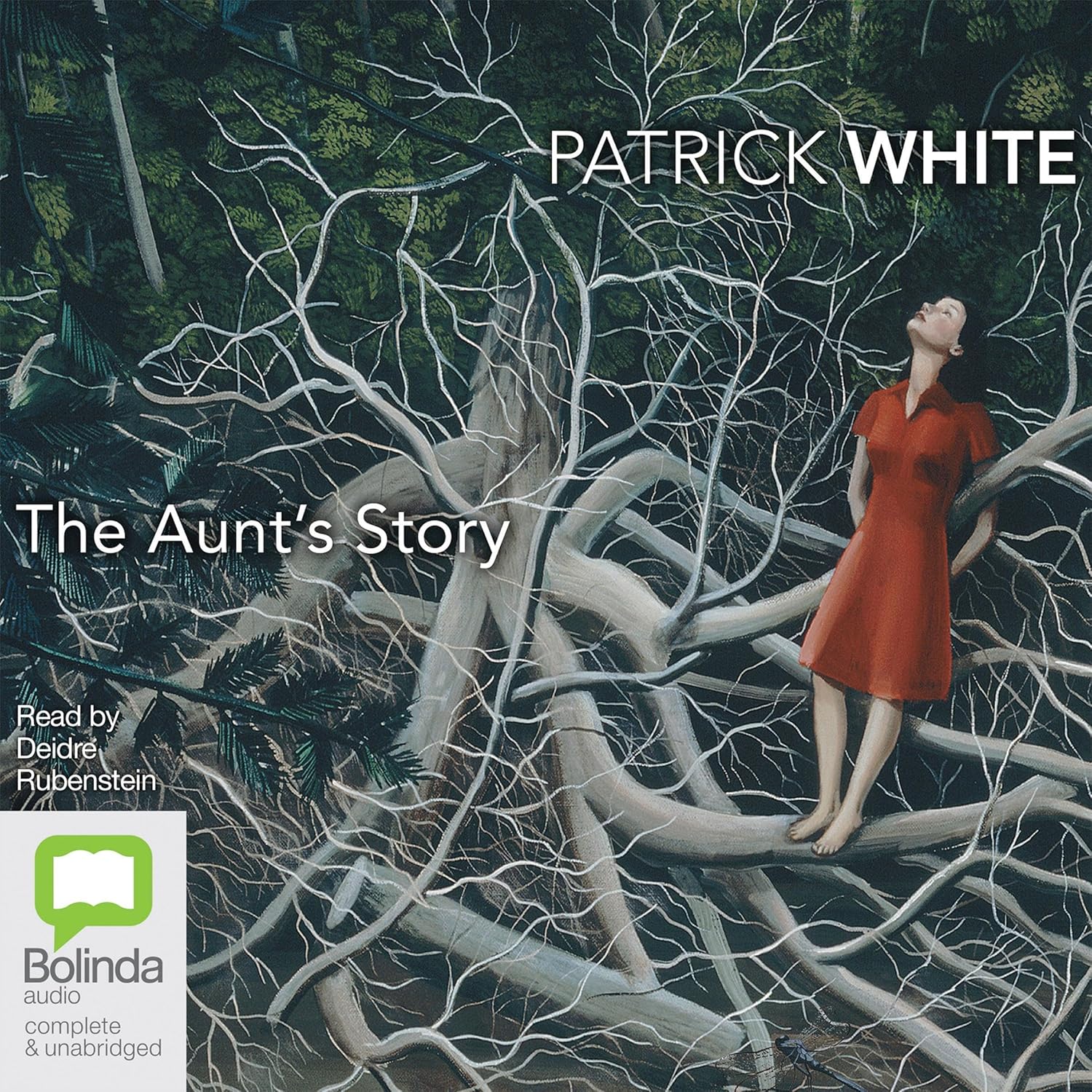 The Aunt's Story