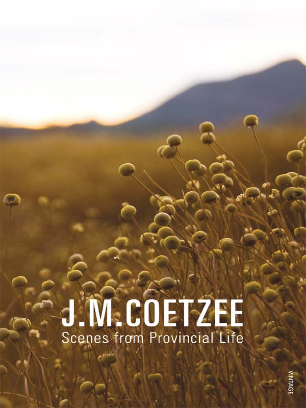 Scenes From Provincial Life